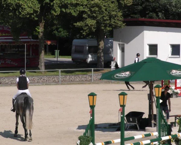 Reitturnier Ingolstadt-Hagau/Obb. 2024