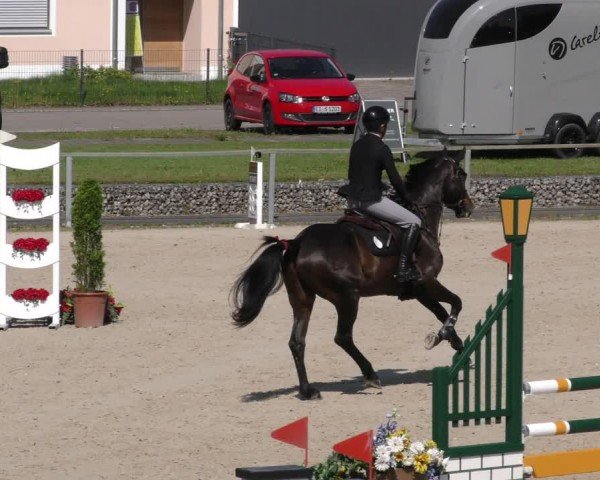 Reitturnier Ingolstadt-Hagau/Obb. 2024