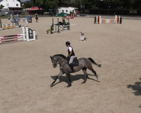 Reitturnier Ingolstadt-Hagau/Obb. 2024