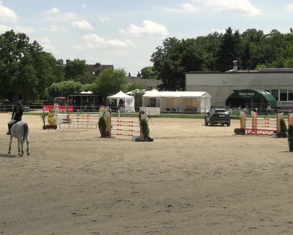 Reitturnier Langenfeld 2024