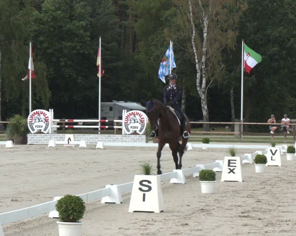 Reitturnier Luhmühlen 2024