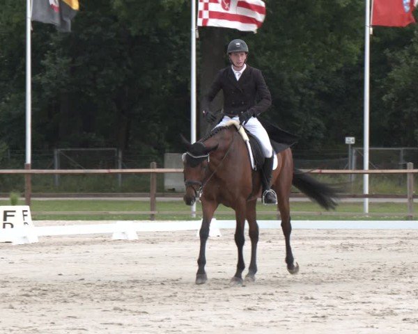 Reitturnier Luhmühlen 2024