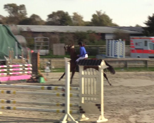 Reitturnier Schülp / Rendsburg 2021