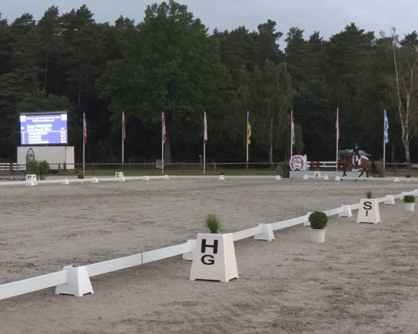 Reitturnier Luhmühlen 2024