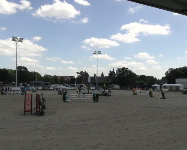 Reitturnier Langenfeld 2024