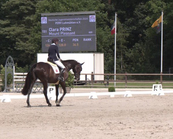 Reitturnier Luhmühlen 2024