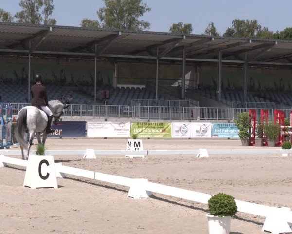 Reitturnier Luhmühlen 2024