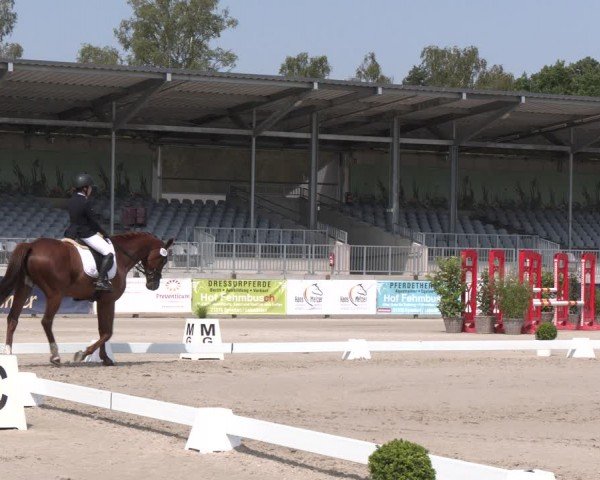 Reitturnier Luhmühlen 2024