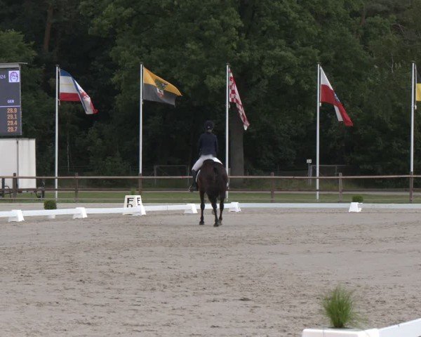 Reitturnier Luhmühlen 2024