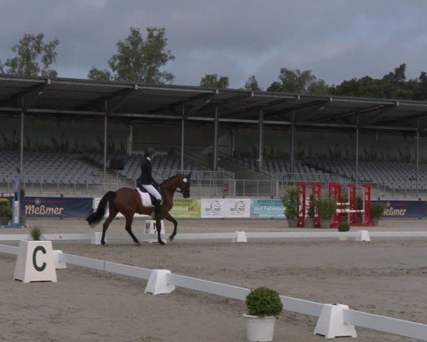 Reitturnier Luhmühlen 2024