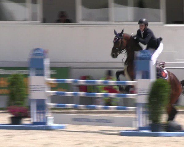 Reitturnier Langenfeld 2024