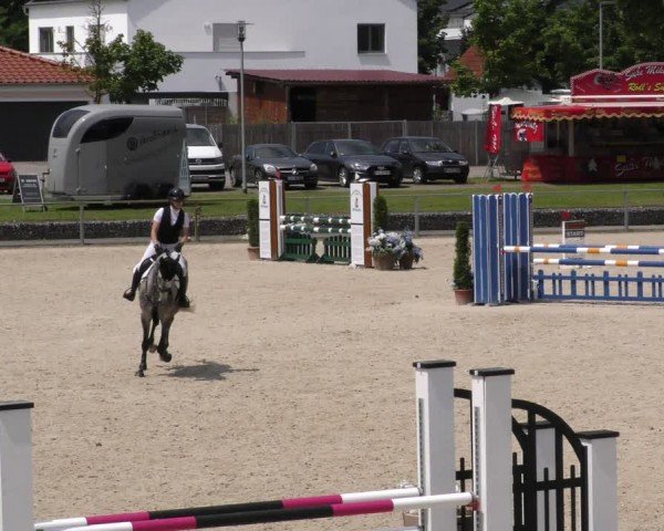Reitturnier Ingolstadt-Hagau/Obb. 2024