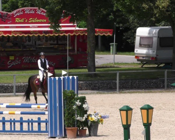 Reitturnier Ingolstadt-Hagau/Obb. 2024