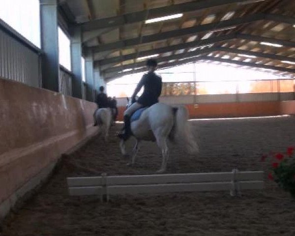 St. Georg Marl 2012