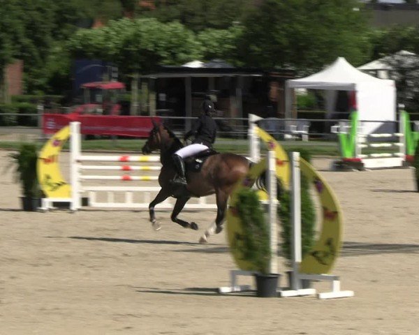 Reitturnier Langenfeld 2024