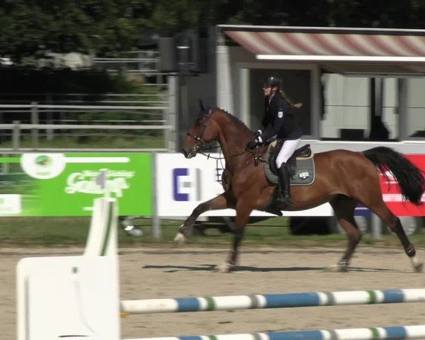 Reitturnier Langenfeld 2024
