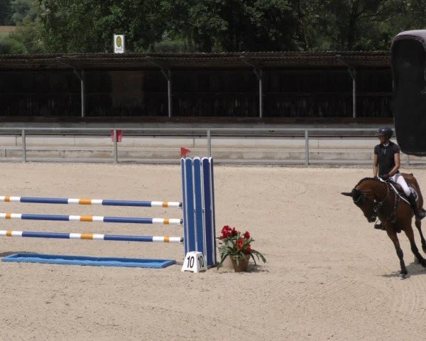 Reitturnier Ingolstadt-Hagau/Obb. 2024