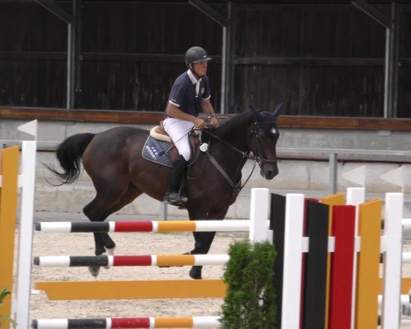 Reitturnier Ingolstadt-Hagau/Obb. 2024