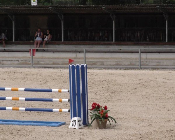 Reitturnier Ingolstadt-Hagau/Obb. 2024
