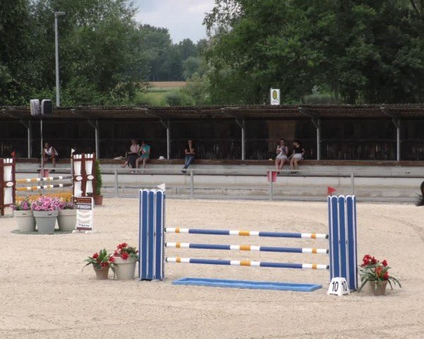 Reitturnier Ingolstadt-Hagau/Obb. 2024