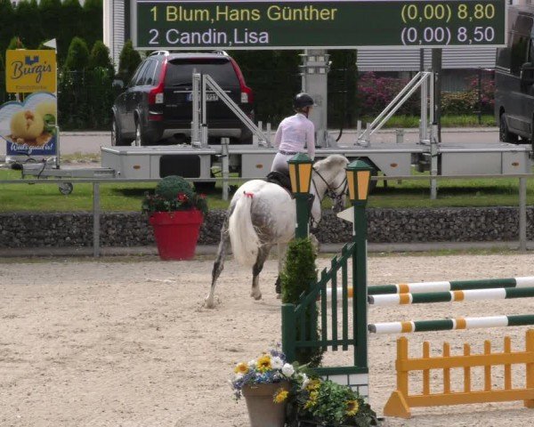 Reitturnier Ingolstadt-Hagau/Obb. 2024