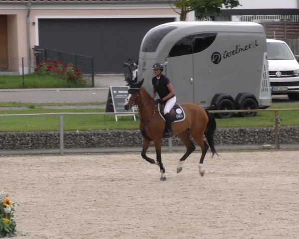Reitturnier Ingolstadt-Hagau/Obb. 2024