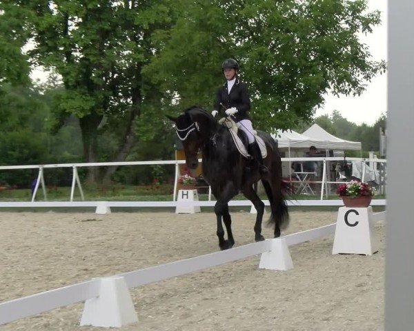 Reitturnier Avenches 2024