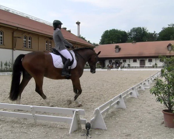Reitturnier Avenches 2024