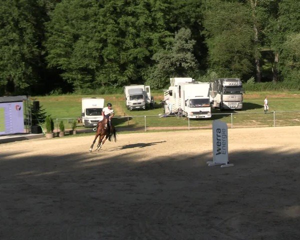 Reitturnier Bad Liebenstein/Sorga 2024