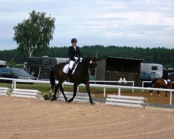 dressage horse Ravenna (Oldenburg, 2000, from Rubinstein I)