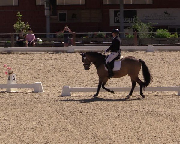 Reitturnier Uder, Reitanlage Kobold 2024