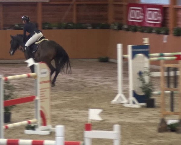 Springturnier Xanten - Reitanlage Miss 2021