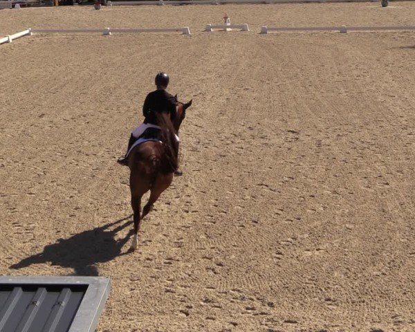 Reitturnier Uder, Reitanlage Kobold 2024