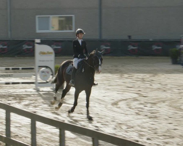 Reitturnier Kalenborn Hegehof 2024