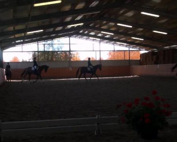 St. Georg Marl 2012