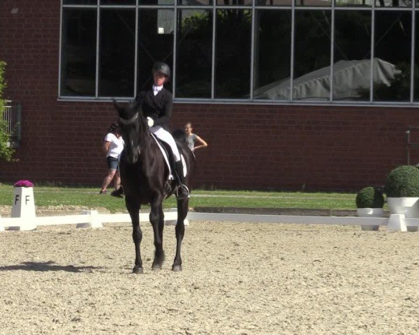 Reitturnier Langenfeld 2024