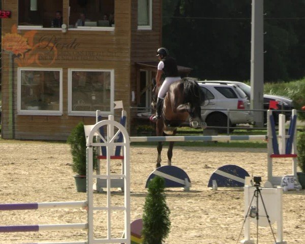 Reitturnier Bad Liebenstein/Sorga 2024