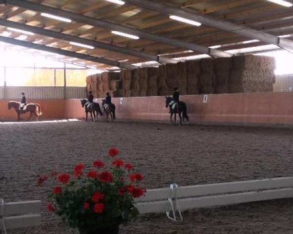 St. Georg Marl 2012