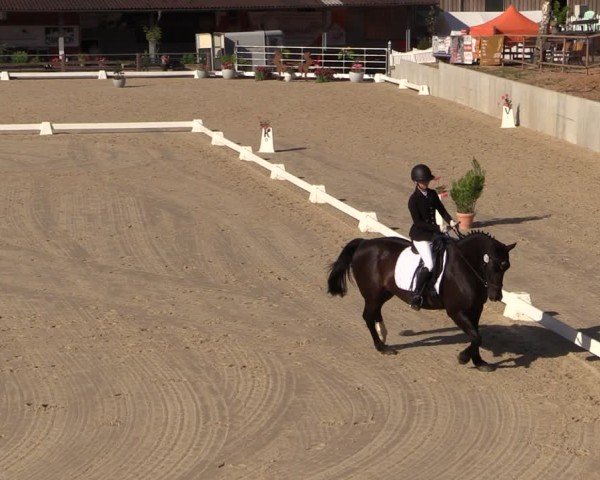 Reitturnier Uder, Reitanlage Kobold 2024