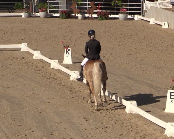 Reitturnier Uder, Reitanlage Kobold 2024