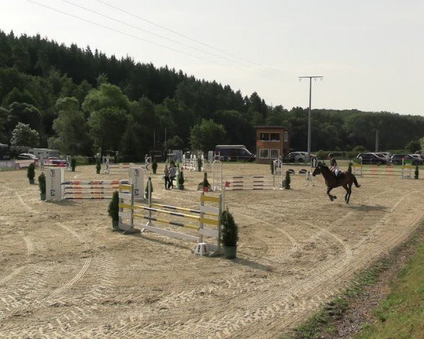 Reitturnier Bad Liebenstein/Sorga 2024