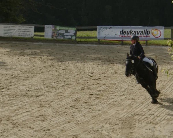 Reitturnier Kalenborn Hegehof 2024