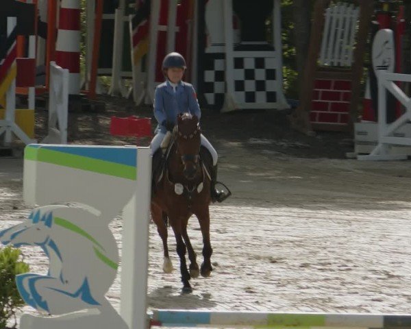 Reitturnier Kalenborn Hegehof 2024
