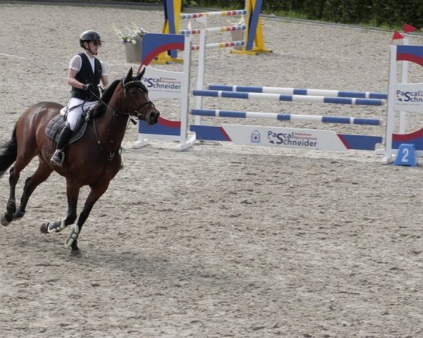 Reitturnier Margarethenhof / Beckingen 2024