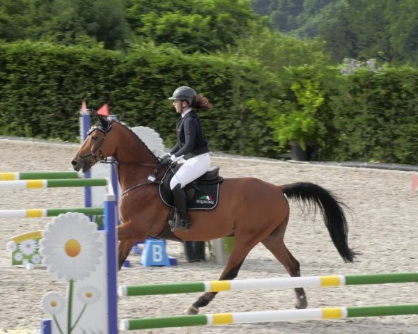 Reitturnier Margarethenhof / Beckingen 2024