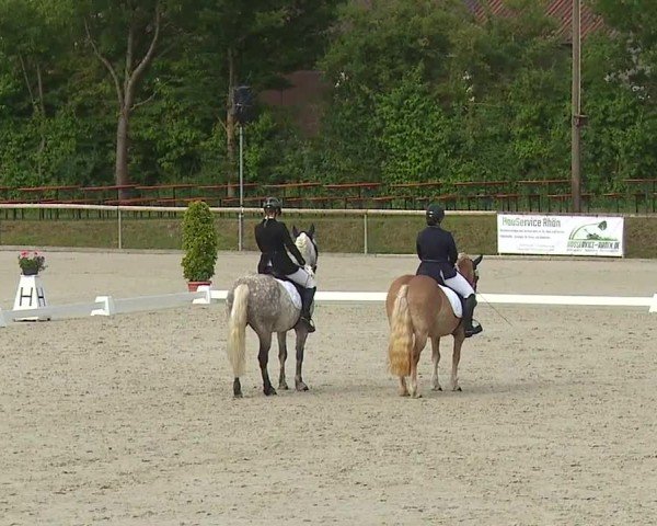 Reitturnier Großbardorf/Ufr. 2024