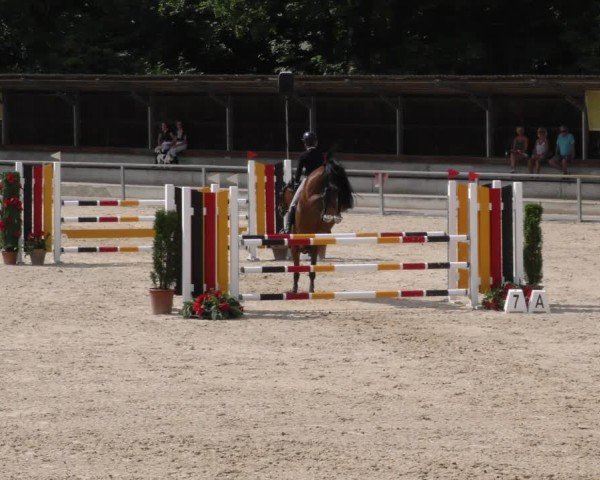 Reitturnier Ingolstadt-Hagau/Obb. 2024