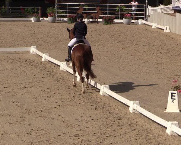 Reitturnier Uder, Reitanlage Kobold 2024