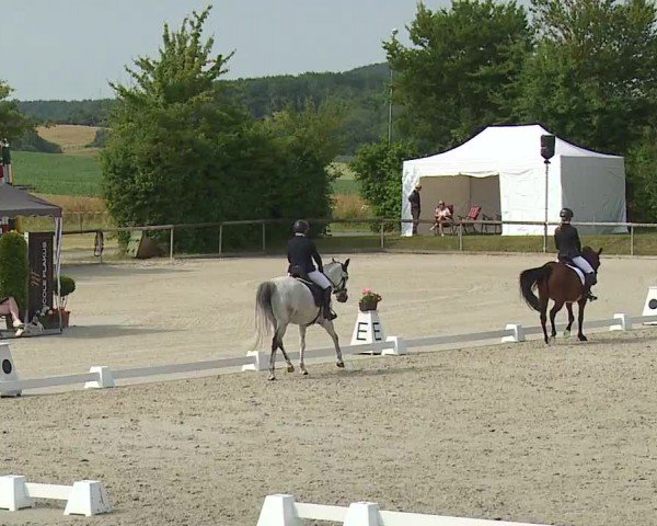 Reitturnier Großbardorf/Ufr. 2024