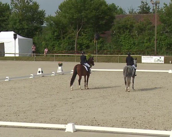 Reitturnier Großbardorf/Ufr. 2024